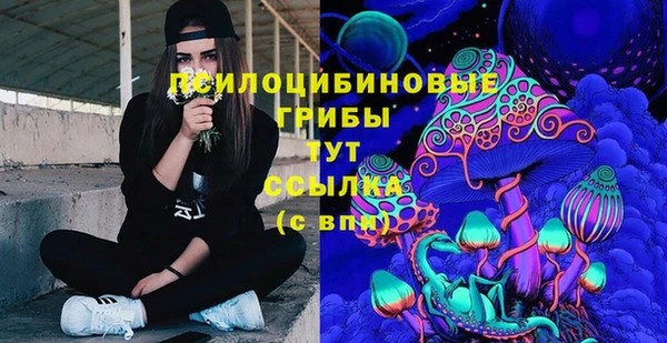 стафф Баксан