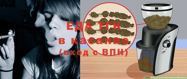 индика Осинники