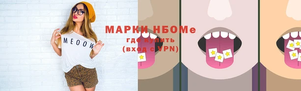 стафф Баксан
